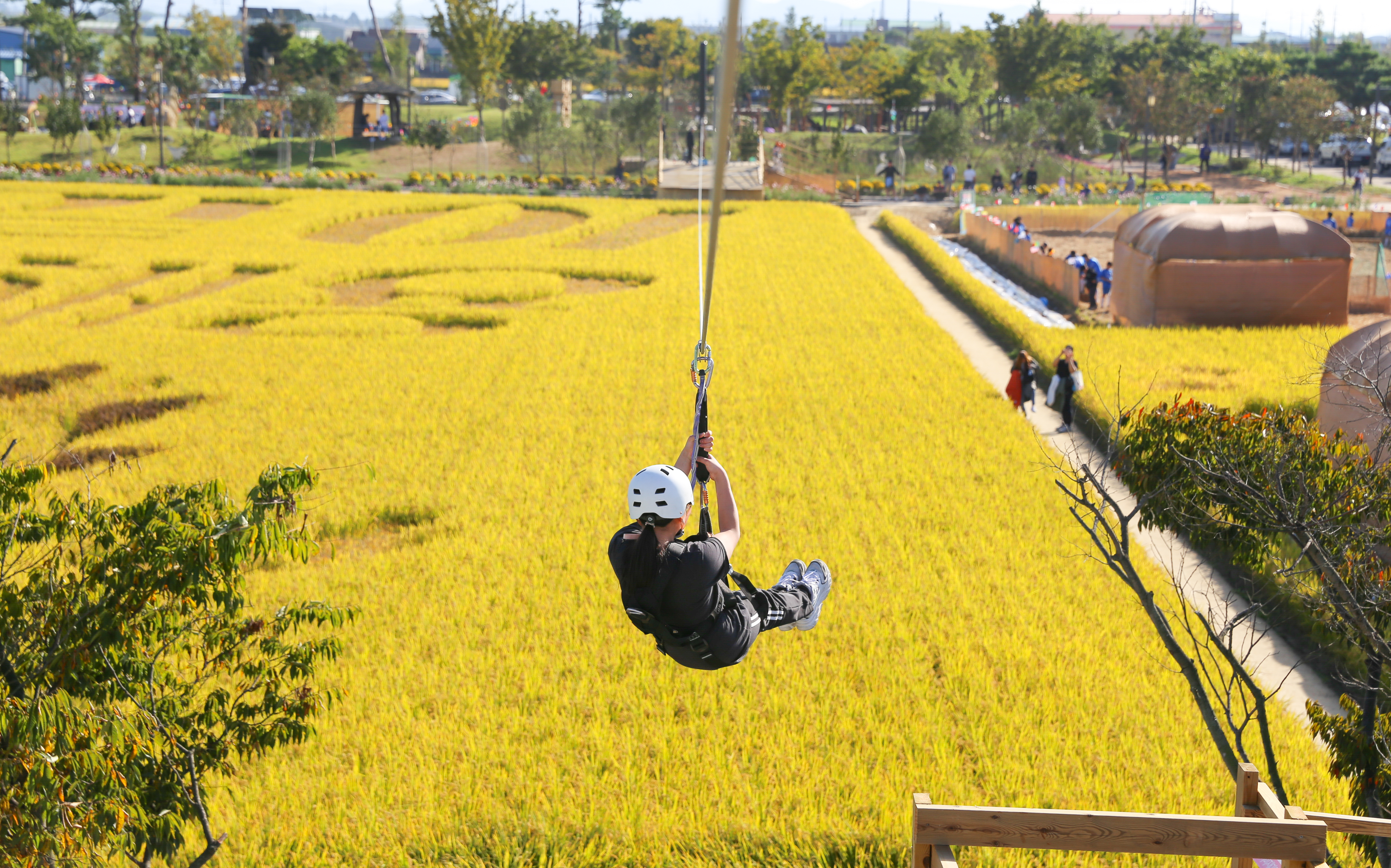 대지아트 짚라인 체험