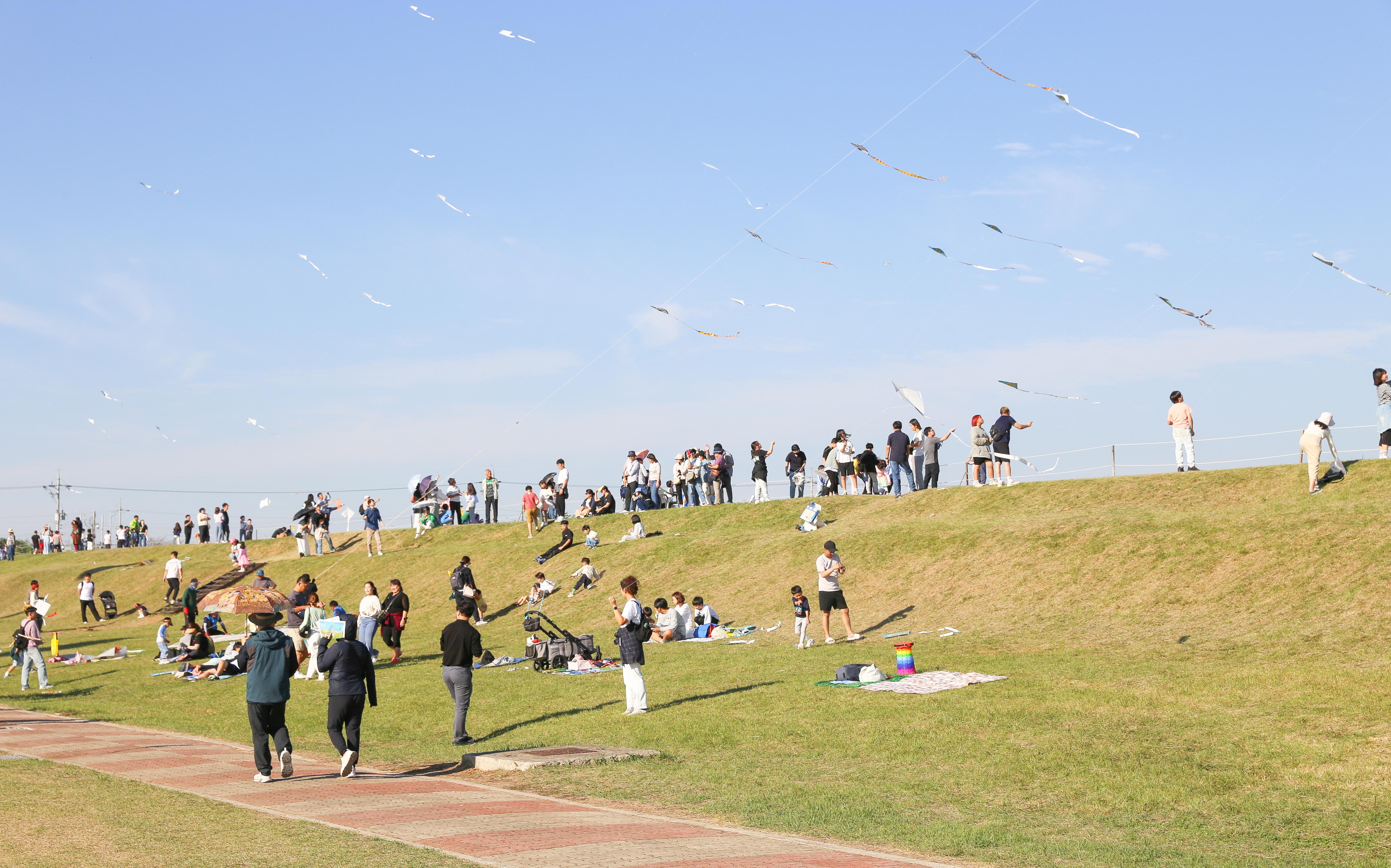 지평선 대동 연날리기