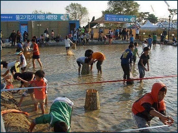 물고기 맨손잡기 체험