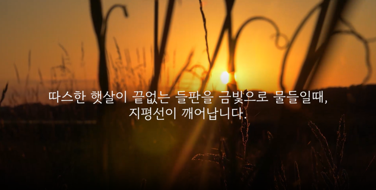 제27회김제지평선축제 티저영상2